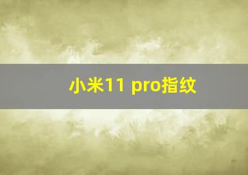 小米11 pro指纹